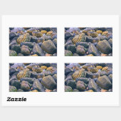 岩カラフル岩 長方形シール (シート)