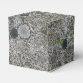 岩テクスチャグレー花崗岩とMoss any文字 フェイバーボックス (裏面サイド)