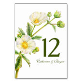 岩バラ水彩花結婚のテーブル番号 テーブルナンバー (裏面)