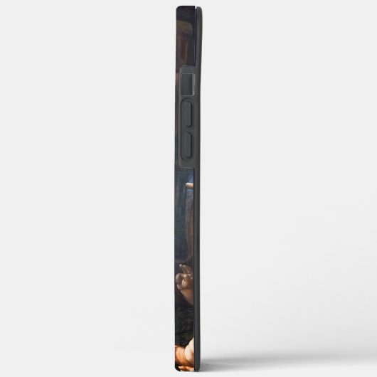 岩ヴァージン Case-Mate iPhoneケース (裏面 / 左)