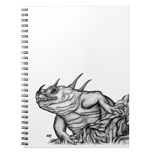 岩上のドラゴン ノートブック (正面)