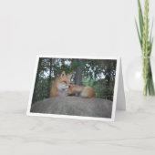 岩上の赤い狐 カード (正面)