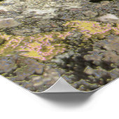 岩場 ポスター (角)