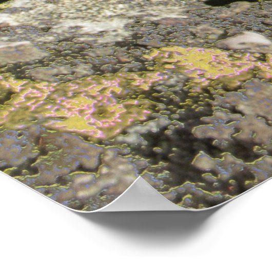 岩場 ポスター (角)