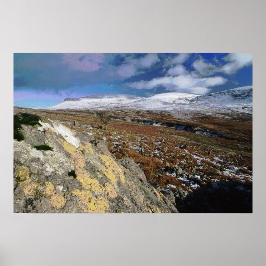 岩場 ポスター (正面)