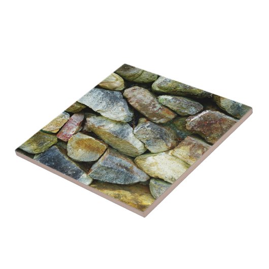 岩壁 タイル (側面)