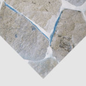 岩壁（反転） 薄葉紙 (詳細)