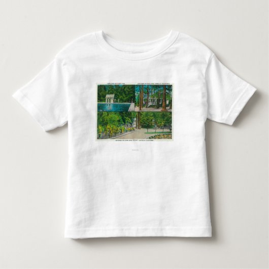 岩山の意見ResortCastella、カリフォルニアの眺め トドラーTシャツ (正面)