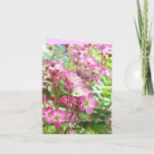 岩庭から1 シーズンカード (裏面)