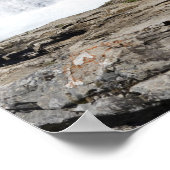 岩棚と山のある滝 ポスター (角)