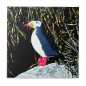 岩瓦に浮き出たパフ タイル (正面)