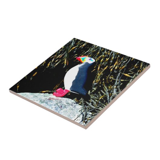 岩瓦に浮き出たパフ タイル (側面)