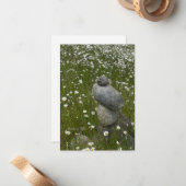 岩石とデイジー ノートカード (正面/裏面インサイチュ)