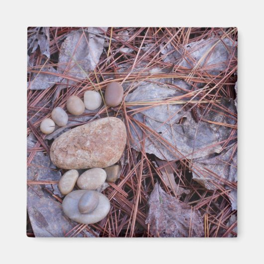 岩石のフットプリント マグネット (正面)