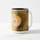 岩石の中のアンモニア鉱その他の化石 ツートーンマグカップ (正面右)