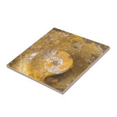 岩石写真におけるアンモナイトやその他の化石 タイル (側面)