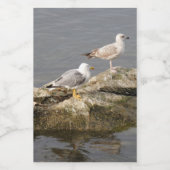 岩石食品容器ラベル上のカモメ フードラベル (シングルラベル)