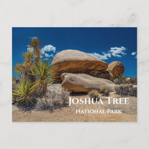 岩石、植物、砂、ジョシュアツリー国立公園（カリフォルニア州） ポストカード