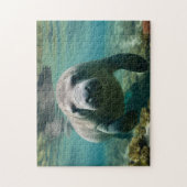 岩礁の上を泳ぐアマゾニアマナティー。 ジグソーパズル (縦)