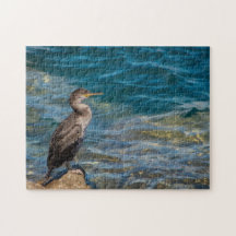 岩素晴らしの上の鵜