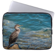 岩素晴らしの上の鵜