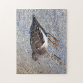 岩素晴らし上に黒い回転石海岸の鳥 ジグソーパズル (縦)