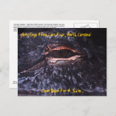 岬からの郵便はがきの挨拶は、北のキャロル…恐れています ポストカード (正面/裏面)