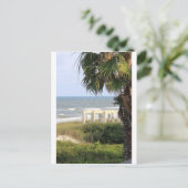 岬のサンBlasの海の海の人魚の塩 ポストカード (スタンド正面)