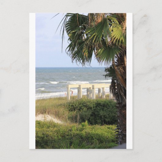 岬のサンBlasの海の海の人魚の塩 ポストカード (正面)