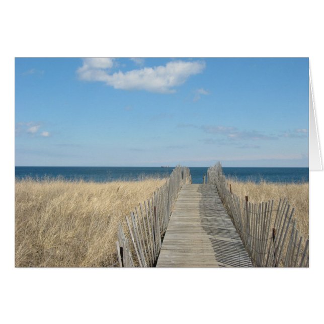 岬の砂丘 (正面横)