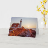 岬エリザベスメイン カード (黄色い花)