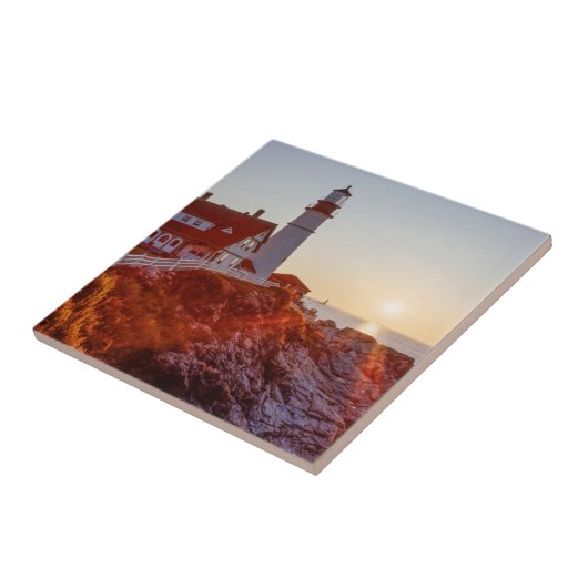 岬エリザベスメイン タイル (側面)