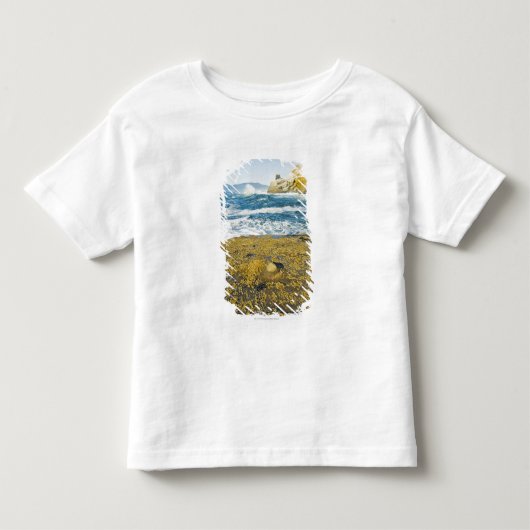 岬Kiwandaおよび太平洋 トドラーTシャツ (正面)