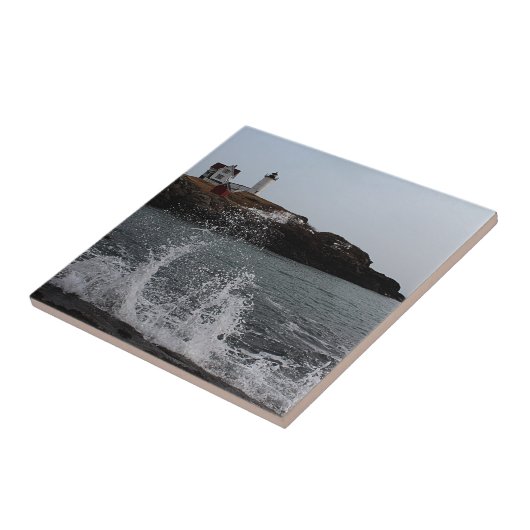 岬Neddick/こぶライト タイル (側面)