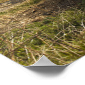 岸のボート |イギリス ポスター (角)