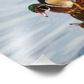 岸の木の鴨 フォトプリント            (角)