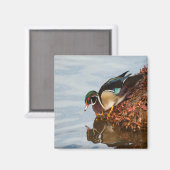 岸の木の鴨 マグネット (正面/裏面)