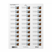 岸の木の鴨 ラベル (フルシート)