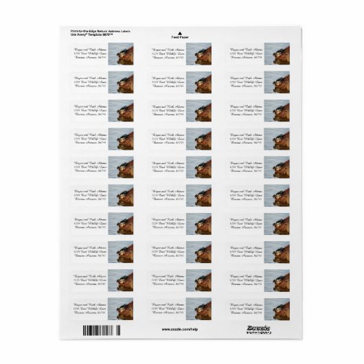 岸の木の鴨 ラベル (フルシート)