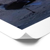 岸の鳥 ポスター (角)