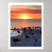 岸の鳥 ポスター (正面)