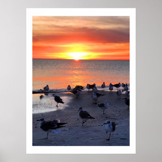 岸の鳥 ポスター (正面)