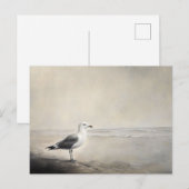 岸辺の孤独なカモメ ポストカード (正面/裏面)