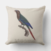 峡谷の変種ラ・ペルチェアラ クッション (正面)