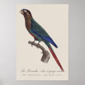 峡谷の変種ラ・ペルチェアラ ポスター (正面)