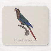 峡谷の変種ラ・ペルチェアラ マウスパッド (正面)