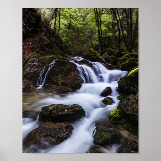 峡谷の魔法の滝 ポスター (正面)