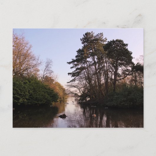 島々の間に、ロアースパーク湖、カーディフ。 ポストカード (正面)