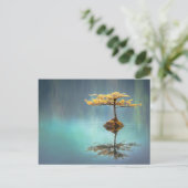 島のはがきに植えられた木 ポストカード (スタンド正面)