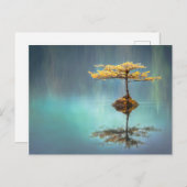 島のはがきに植えられた木 ポストカード (正面/裏面)